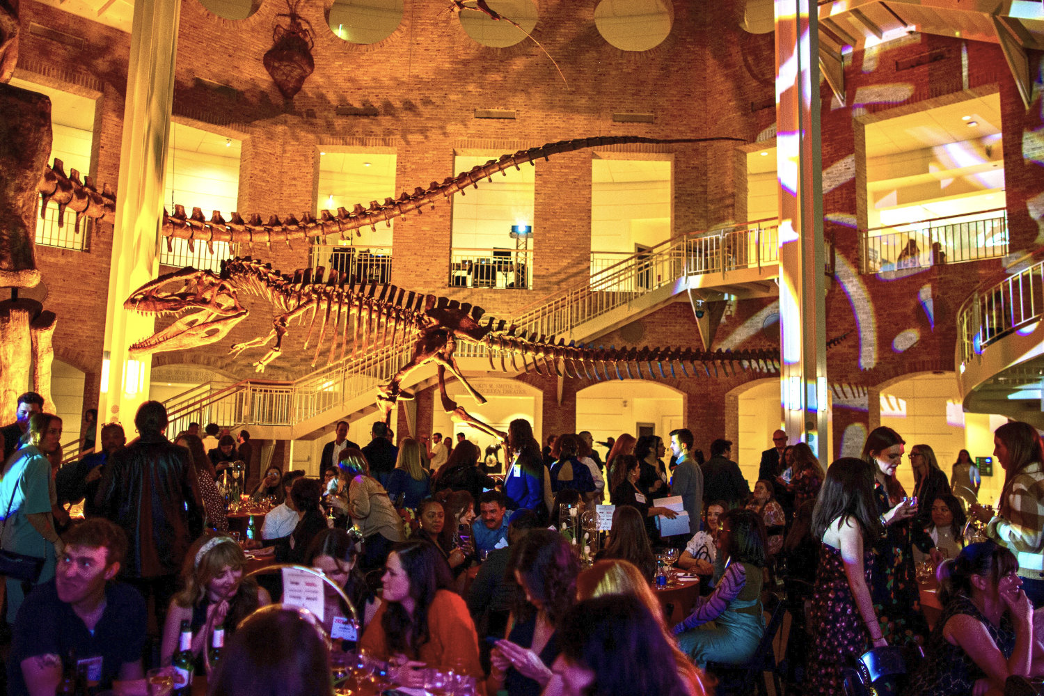 Innov8_events_fernbank_museum